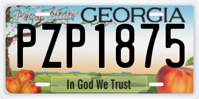GA license plate PZP1875
