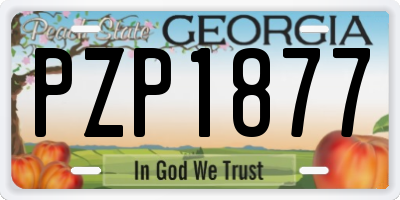 GA license plate PZP1877
