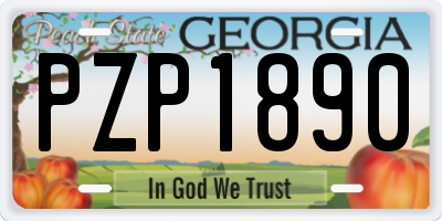 GA license plate PZP1890