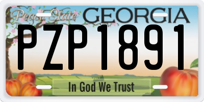GA license plate PZP1891