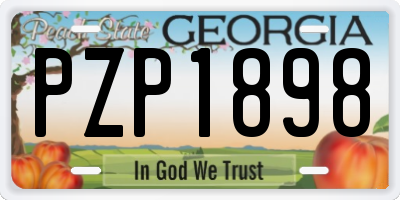 GA license plate PZP1898