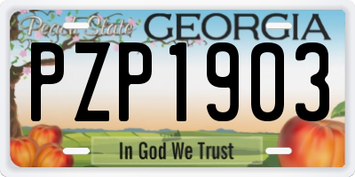 GA license plate PZP1903