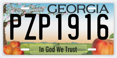 GA license plate PZP1916