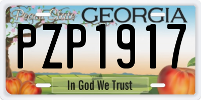 GA license plate PZP1917