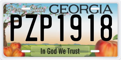 GA license plate PZP1918