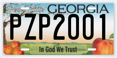 GA license plate PZP2001