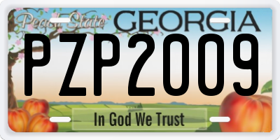 GA license plate PZP2009