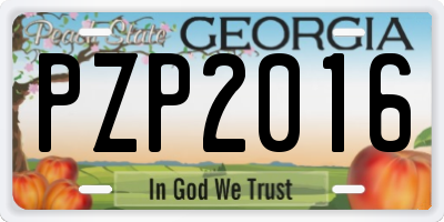 GA license plate PZP2016