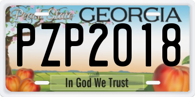 GA license plate PZP2018
