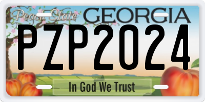 GA license plate PZP2024