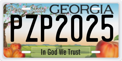 GA license plate PZP2025
