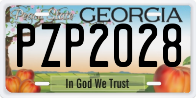 GA license plate PZP2028