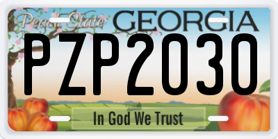 GA license plate PZP2030