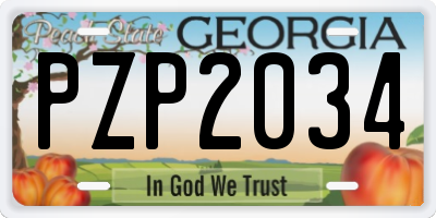 GA license plate PZP2034