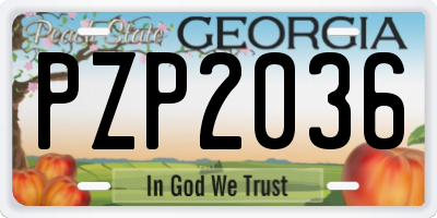 GA license plate PZP2036