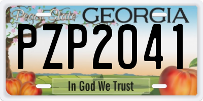 GA license plate PZP2041