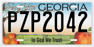 GA license plate PZP2042