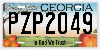 GA license plate PZP2049