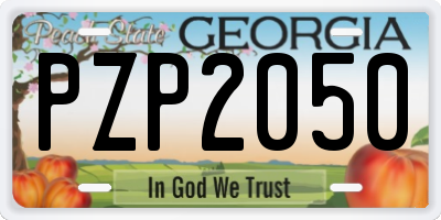 GA license plate PZP2050