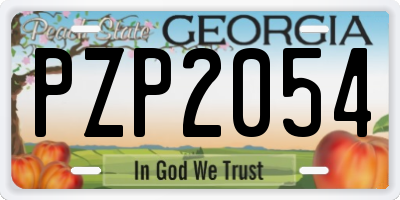 GA license plate PZP2054