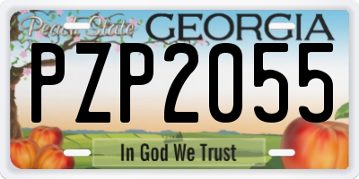 GA license plate PZP2055