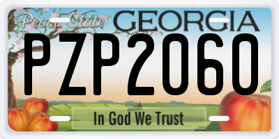 GA license plate PZP2060