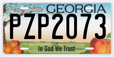 GA license plate PZP2073