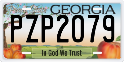 GA license plate PZP2079