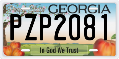 GA license plate PZP2081