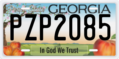 GA license plate PZP2085