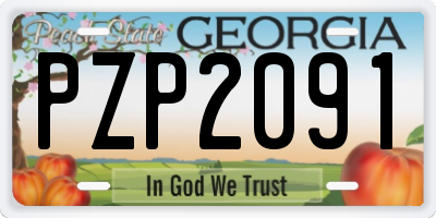GA license plate PZP2091