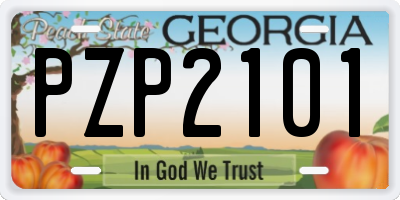 GA license plate PZP2101