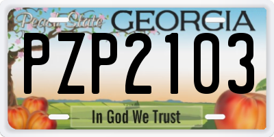 GA license plate PZP2103