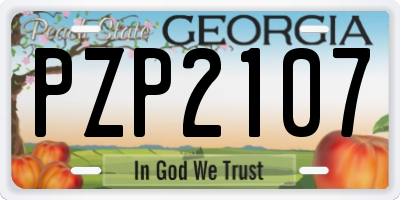 GA license plate PZP2107