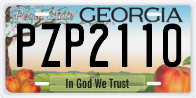 GA license plate PZP2110
