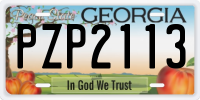 GA license plate PZP2113