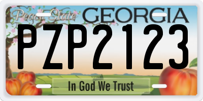 GA license plate PZP2123