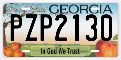 GA license plate PZP2130