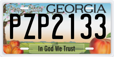 GA license plate PZP2133
