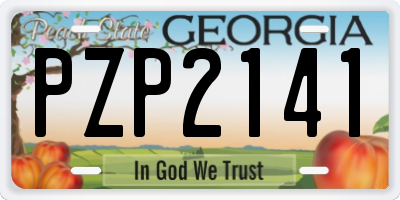 GA license plate PZP2141