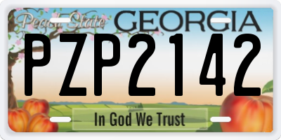 GA license plate PZP2142