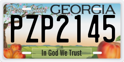 GA license plate PZP2145