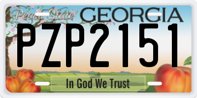 GA license plate PZP2151