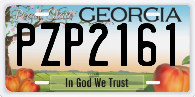 GA license plate PZP2161