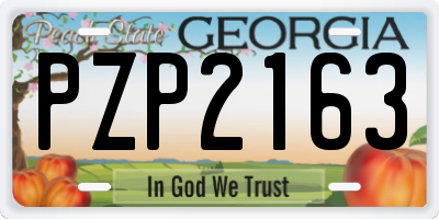 GA license plate PZP2163