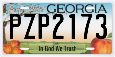 GA license plate PZP2173