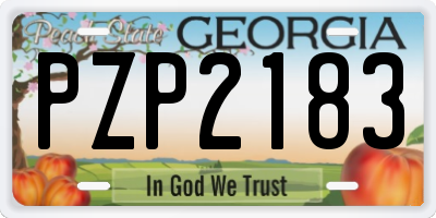 GA license plate PZP2183