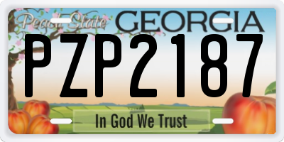 GA license plate PZP2187