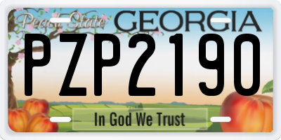 GA license plate PZP2190