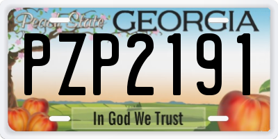 GA license plate PZP2191